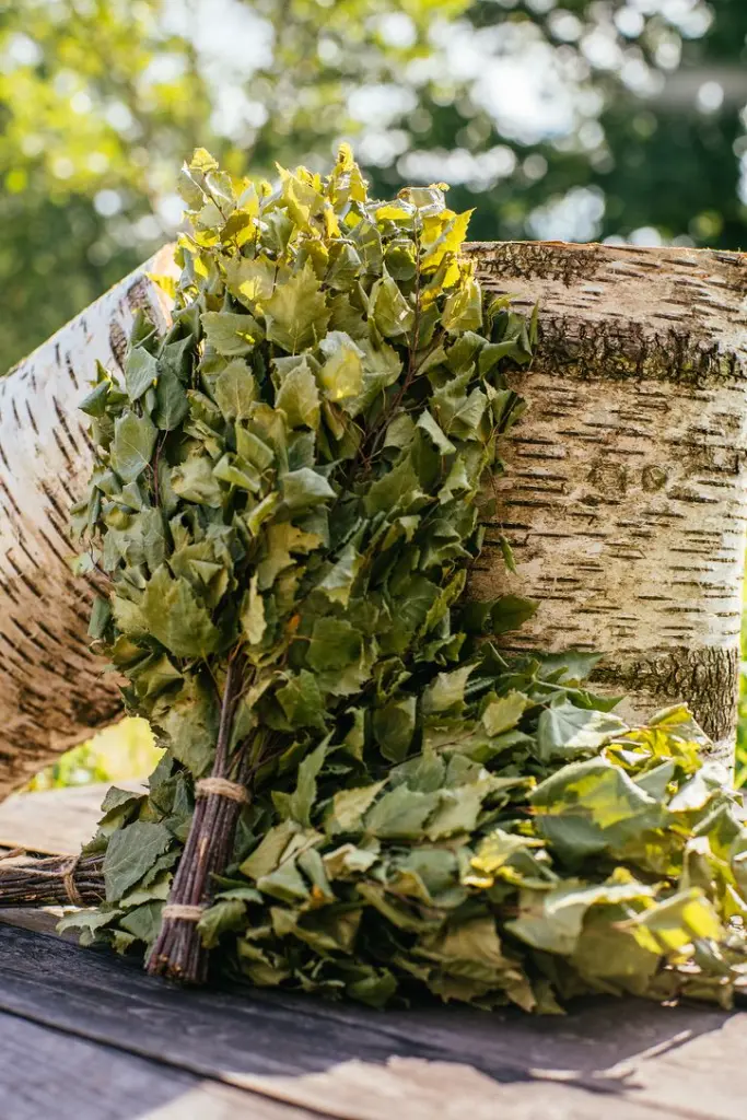 PS03 English Oak Whisks Sauna.webp