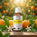 C11_EN_Sweet_orange.webp