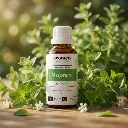 H4BIO_EN_Marjoram.webp