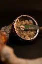 aromen_smoke_boxes_new24_-00921_fullres.webp