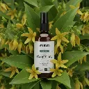 ylang_ylang_spray_2025_Ylang_Ylang.webp