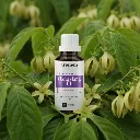F5_EN_Ylang_ylang.webp