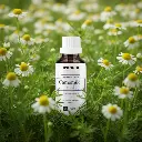 F8-CO2_EN_Camomile.webp
