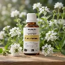 C24BIO_EN_White_Verbena.webp