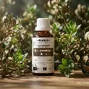 W14BIO_EN_Resurrection_Bush2.webp