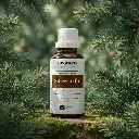 W17_EN_Siberian_Fir (1).webp