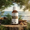 W22BIO_EN_Maritime_Pine (1).webp