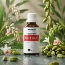 S3_EN_Cardamom (1).webp