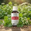 S4_EN_Coriander (1).webp