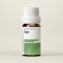 H6-BIO.jpg