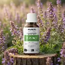 H7BIO_EN_Clary_Sage (1).webp