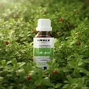 H11BIO_EN_Wintergreen.webp