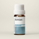 E10-BIO.jpg