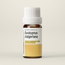 E11-BIO.jpg
