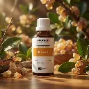 R1_EN_Benzoin (1).webp