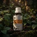 R3_EN_Patchouli (1).webp