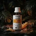 R4_EN_Elemi (1).webp