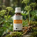 R11_EN_Galbanum (1).webp