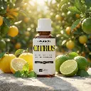 SYN18_EN_Citrus (1).webp