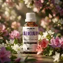 SYN19_EN_Floral (1).webp