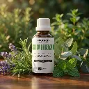 SYN20_EN_Herbal (1).webp