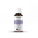 Magnolie (Nioikobushi) - 11ml