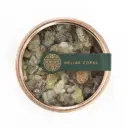 Gray copal smoke box
