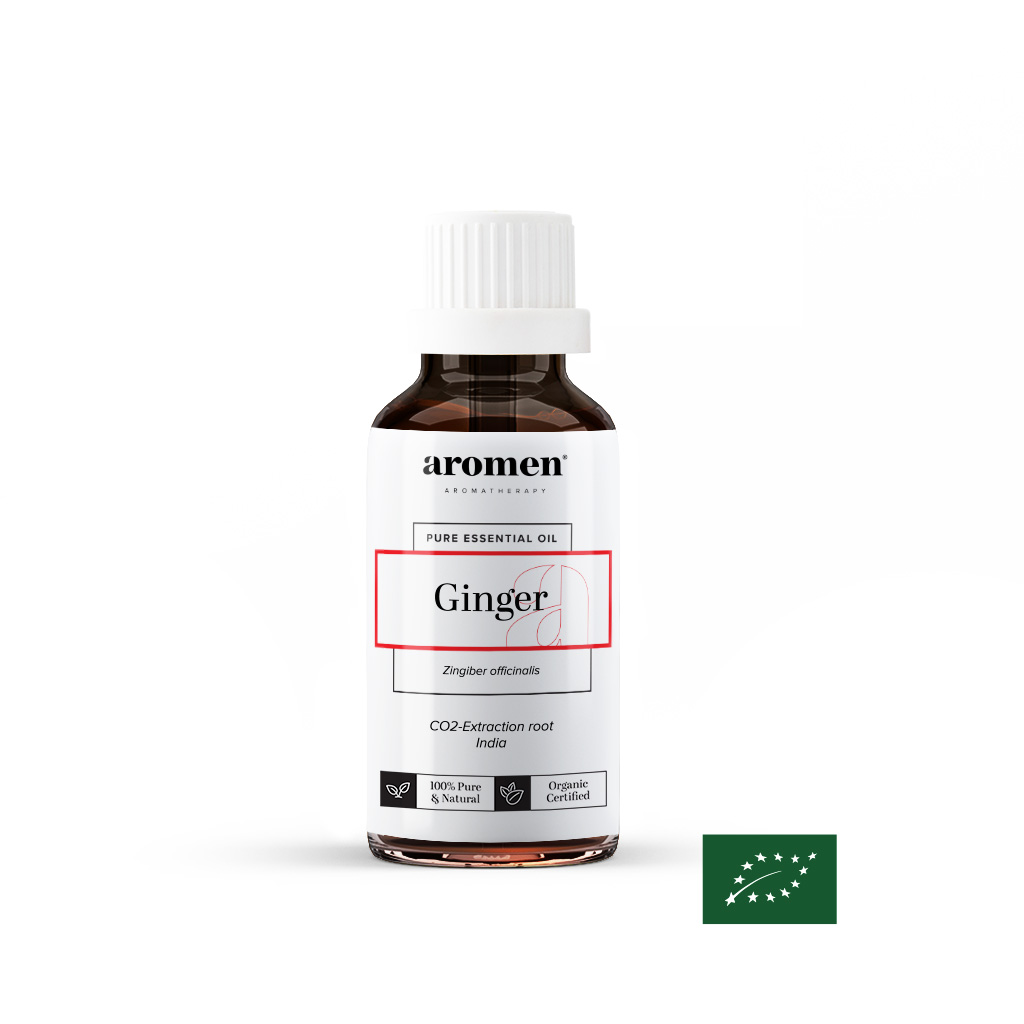 Ginger CO2-extract - 11ml (BIO) 