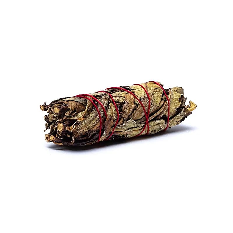 [SC14] Yerba santa smudge