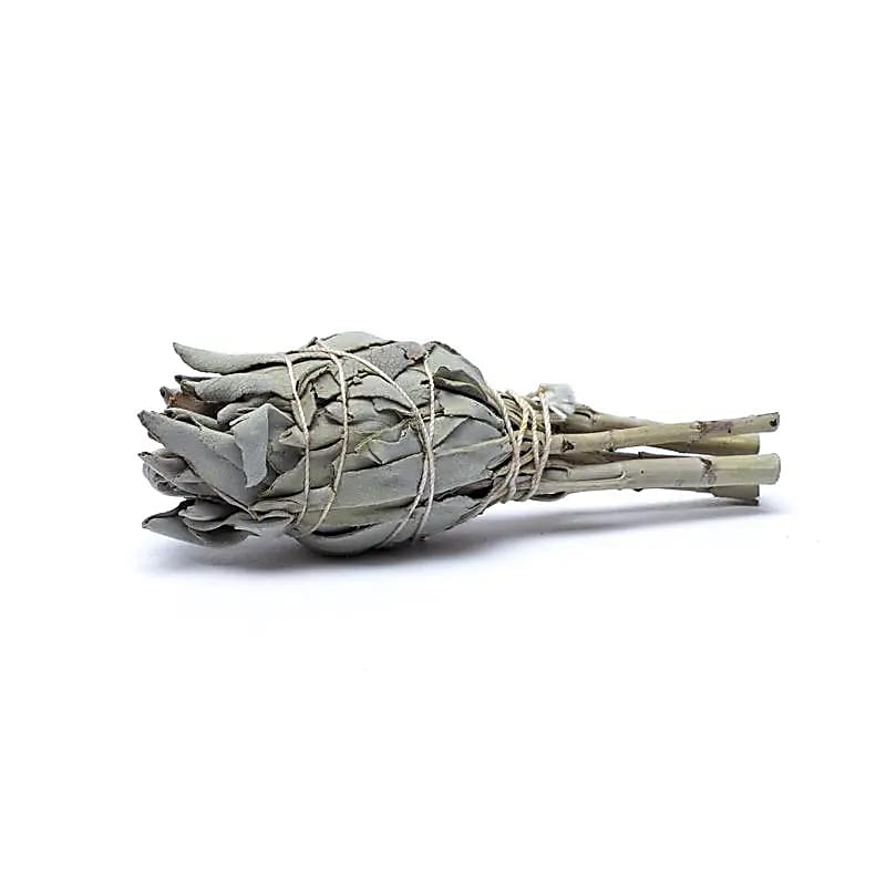 White sage smudge
