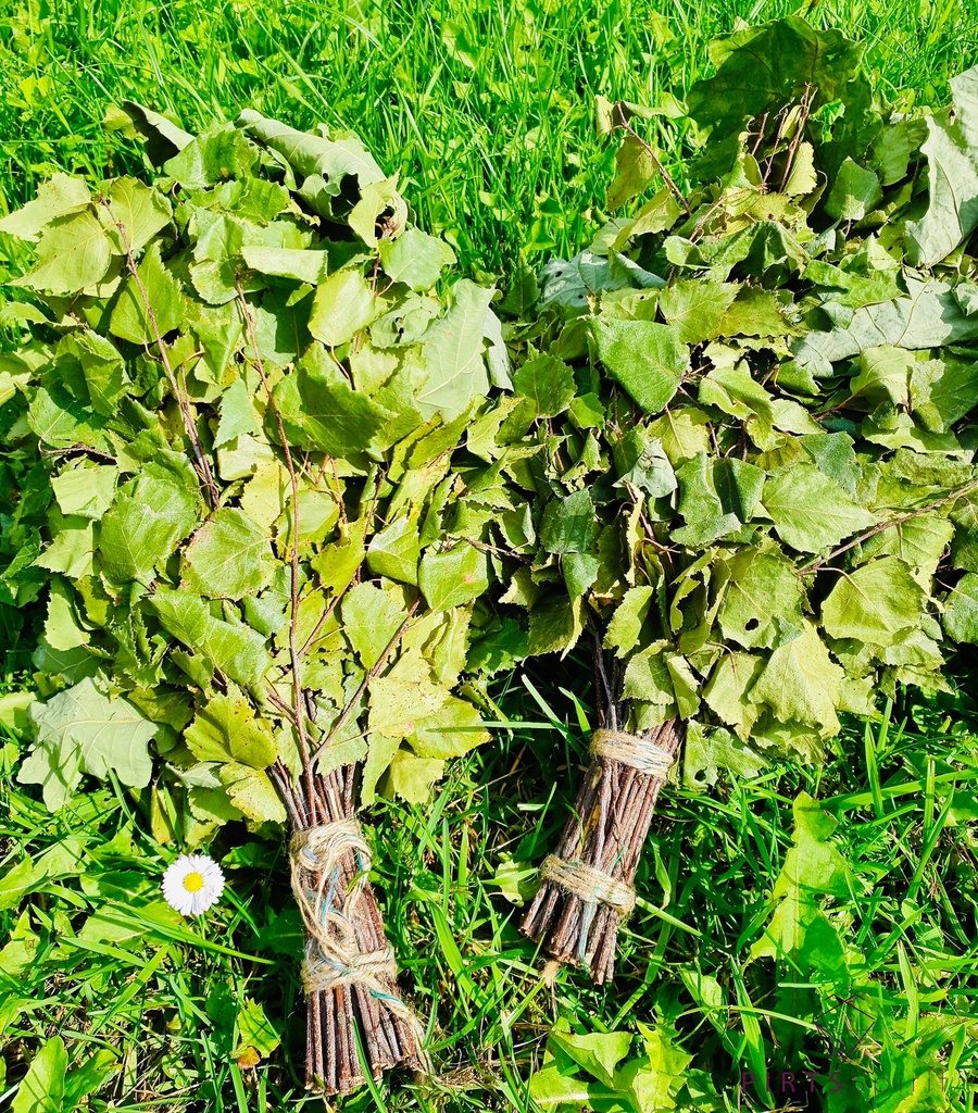 Birch massage whisks (30 pieces)