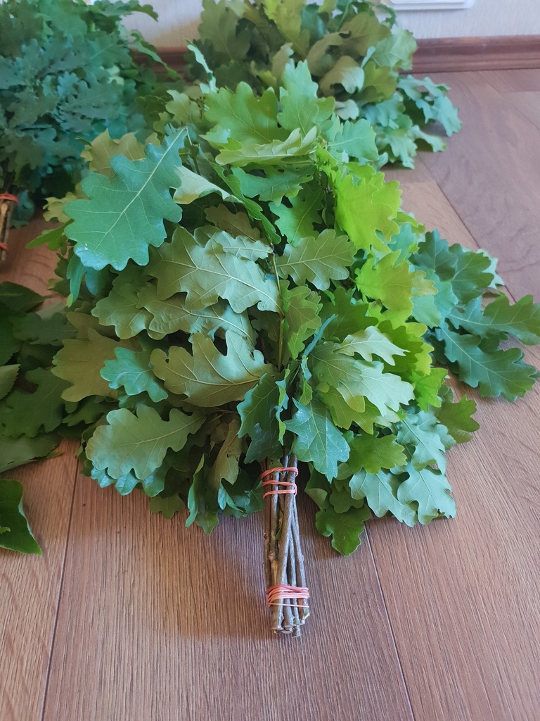 Engelse Eik takken (20 stuks)