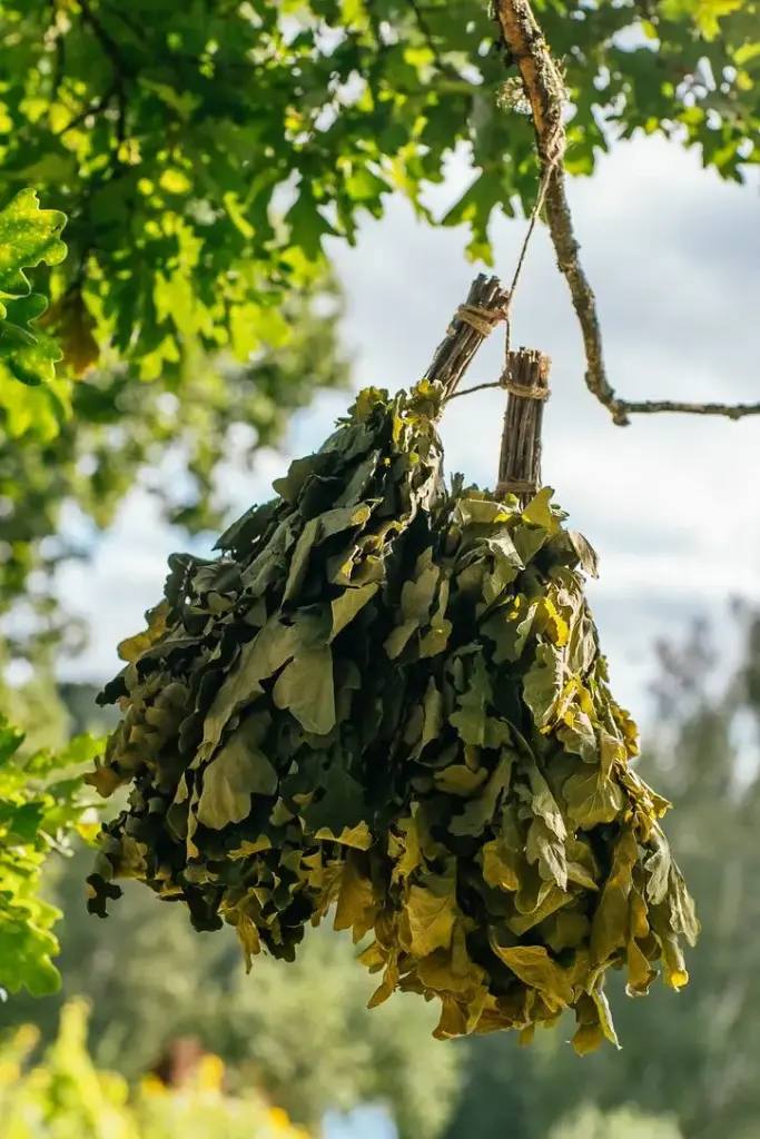 English Oak whisks (20 pieces)