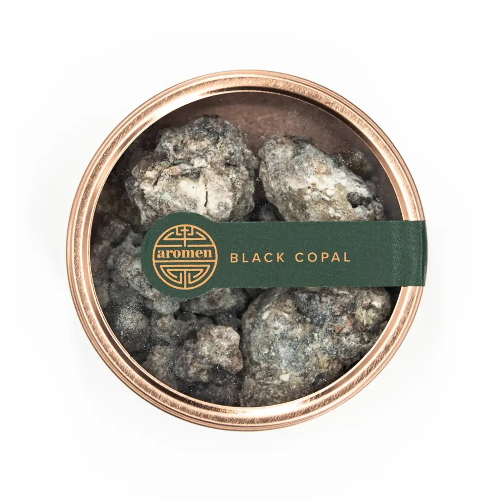 [SBR21] Black copal smoke box