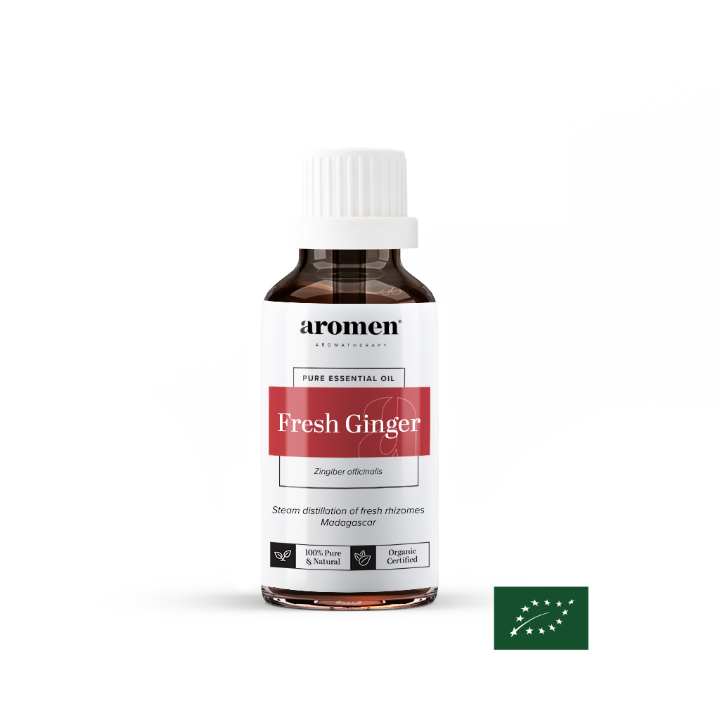 [S1-BIO] Frischer Ingwer - 50ml (BIO)