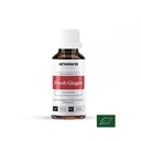 Fresh Ginger - 100ml (BIO)