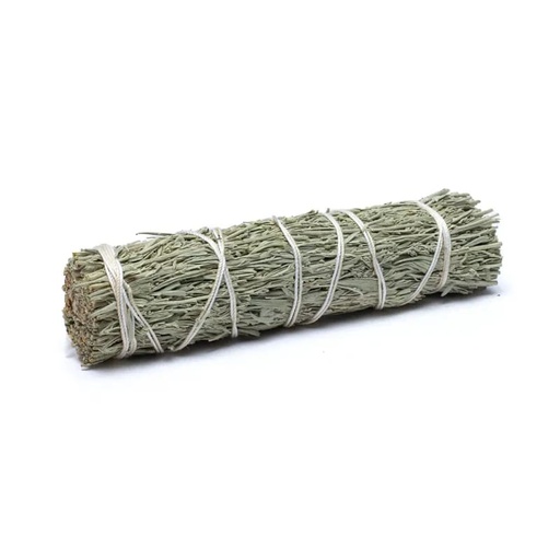 [SC13] Shasta sage smudge