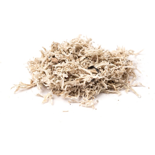 [PP03] Oak moss cut 250gr