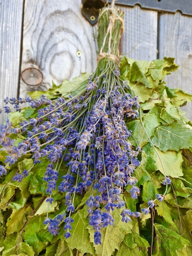 [PS08] Pirts Spirit Box (28 stuks)