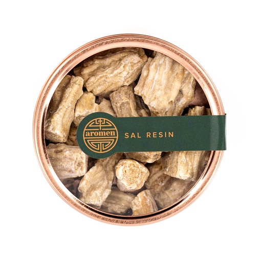 [SBR23] Sal Resin smoke box