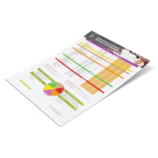 [CH-04-DE] Rauchrituale Übersicht A2 - DE